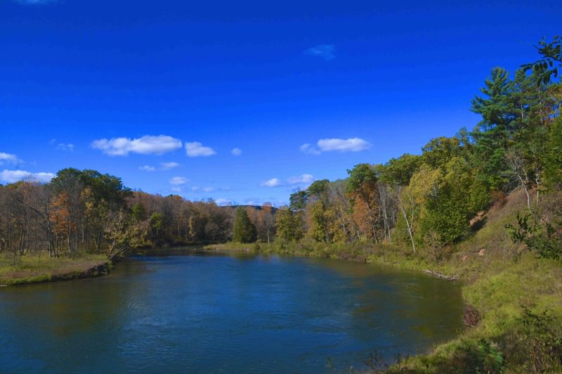 Manistee River Trail